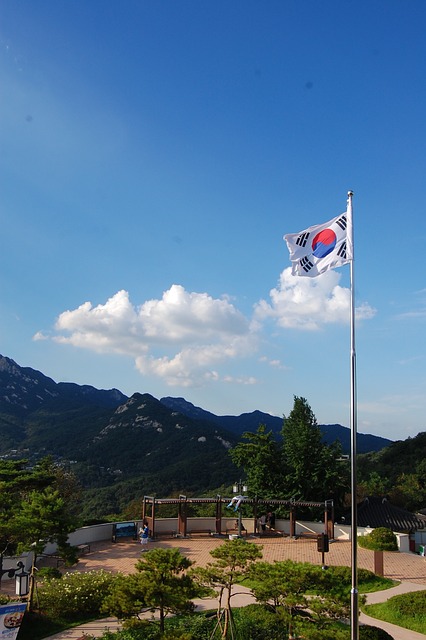 八角形 汉城 韩国国旗 - 上的免费照片