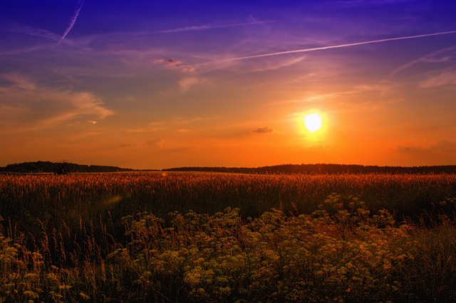 日落 原野 草地 - 上的免费照片