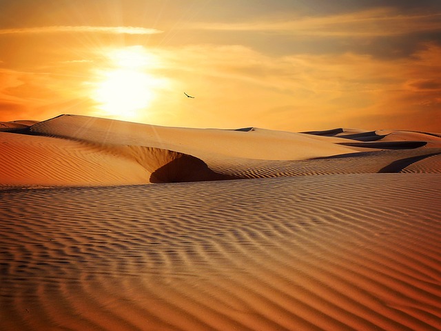 沙漠 沙 荒芜 - 上的免费照片