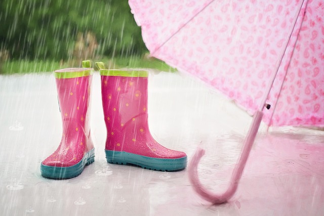 雨 靴子 雨伞 - 上的免费照片