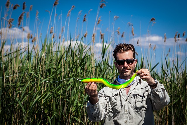钓鱼 鱼饵 鳗鱼 - 上的免费照片