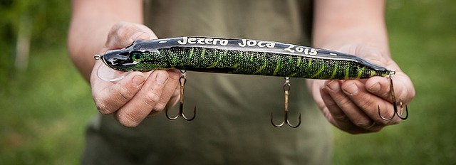 鱼饵 钓鱼 派克 - 上的免费照片