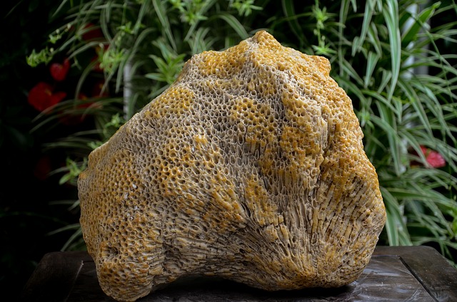 奇石 蜂窝石 石头 - 上的免费照片
