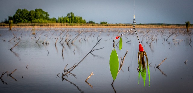 旋转诱饵 鱼饵 钓鱼 - 上的免费照片