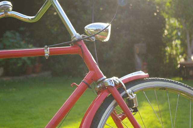 自行车 荷兰 红色的 - 上的免费照片