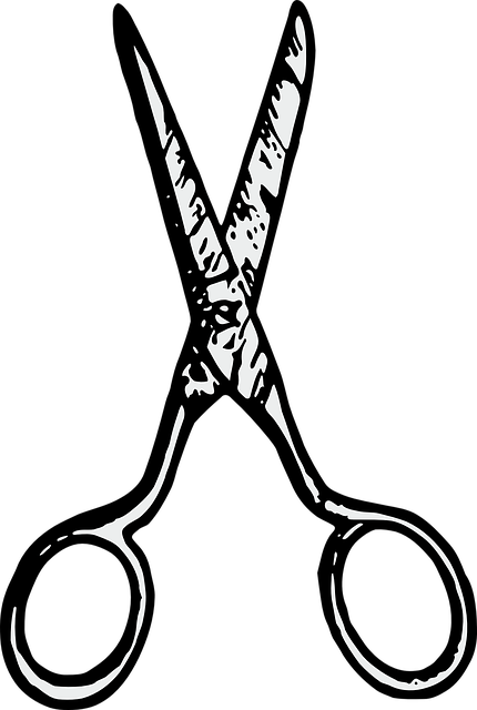 剪刀 切 缝 - 免费矢量图形