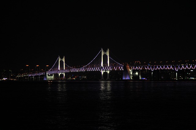广安桥 夜景 海洋 - 上的免费照片