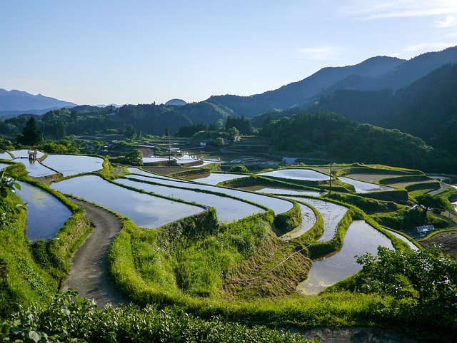 日本 水稻梯田 熊本 - 上的免费照片