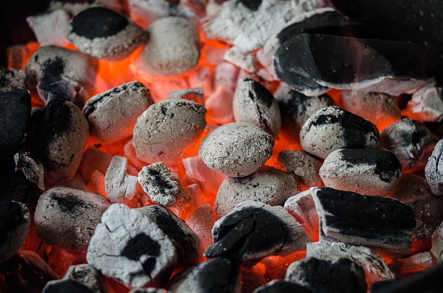 烧烤 煤 火焰 - 上的免费照片