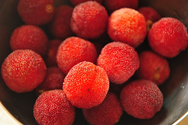 杨梅 红色 水果 Red - 上的免费照片