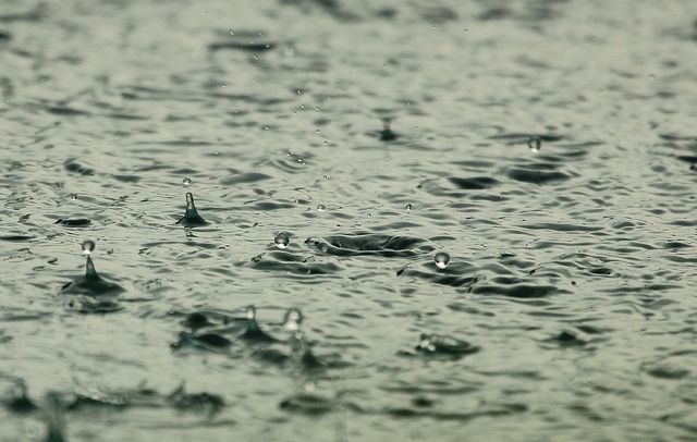 水 雨滴 下雨 - 上的免费照片