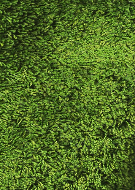 质地 草坪 材质 - 上的免费照片