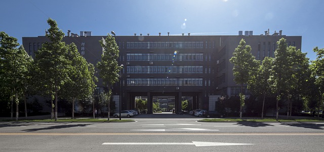 校园 师大 - 上的免费照片