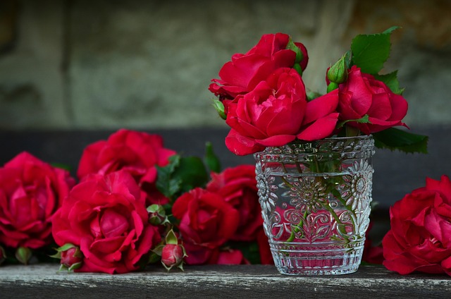 玫瑰 红玫瑰 花瓶 - 上的免费照片
