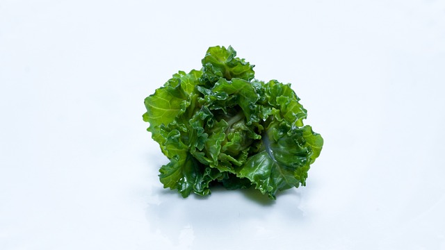 花芽 蔬菜 小洋白菜 - 上的免费照片