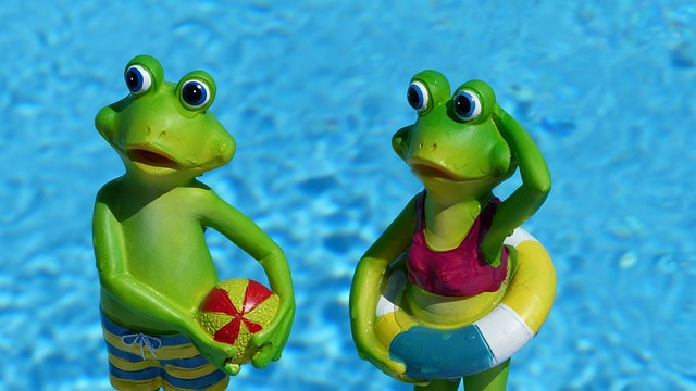 青蛙 洗澡 假期 - 上的免费照片