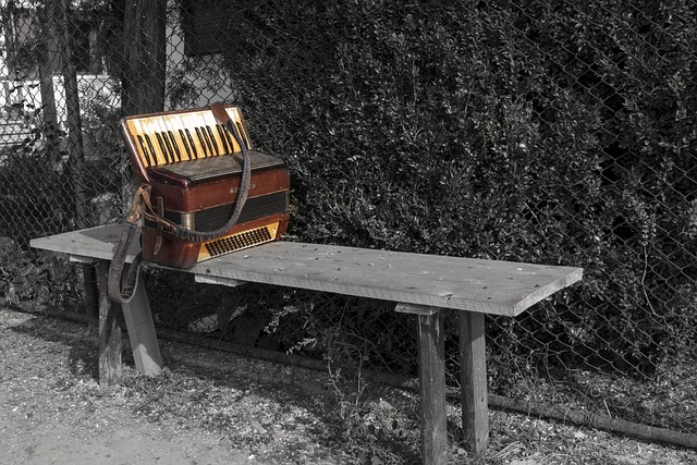 手风琴 独自的 音乐 - 上的免费照片