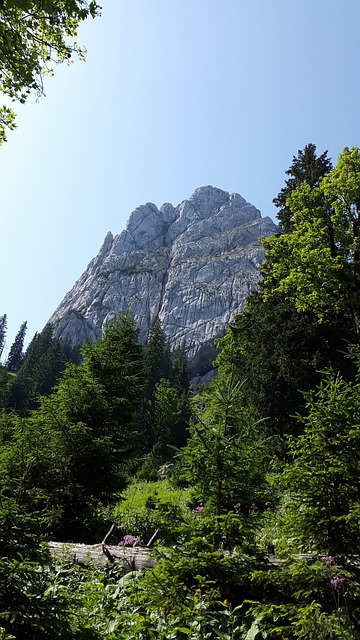 人质石 阿默高阿尔卑斯山 阿默高 - 上的免费照片