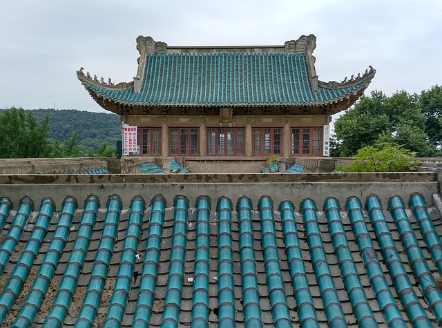 武大 樱顶 - 上的免费照片