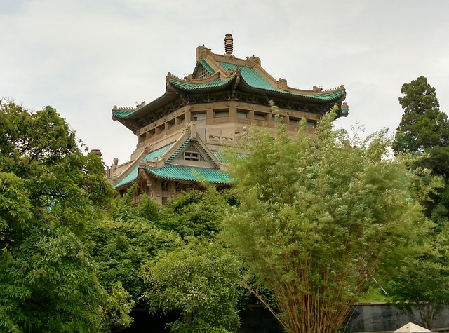 武大 樱顶 - 上的免费照片