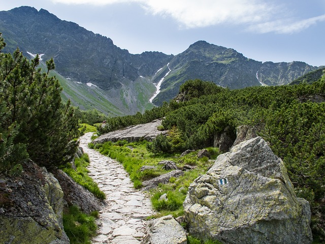 国家 景观 山 - 上的免费照片
