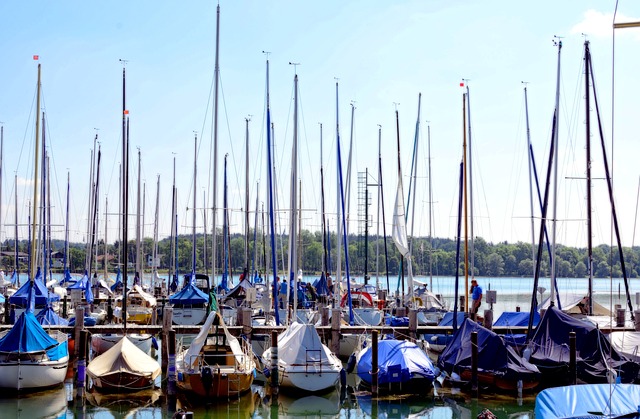 港口 帆船 桅杆 - 上的免费照片