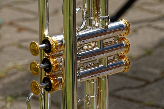 仪器 乐器 管乐器 - 上的免费照片