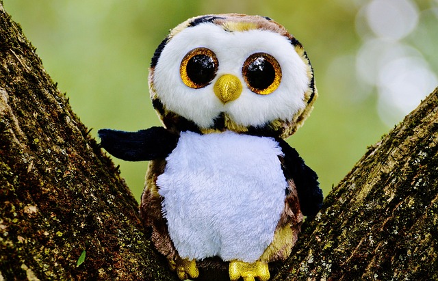 猫头鹰 闪光 填充玩具动物 - 上的免费照片