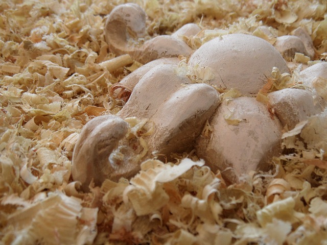 锯末 花 雕塑 - 上的免费照片