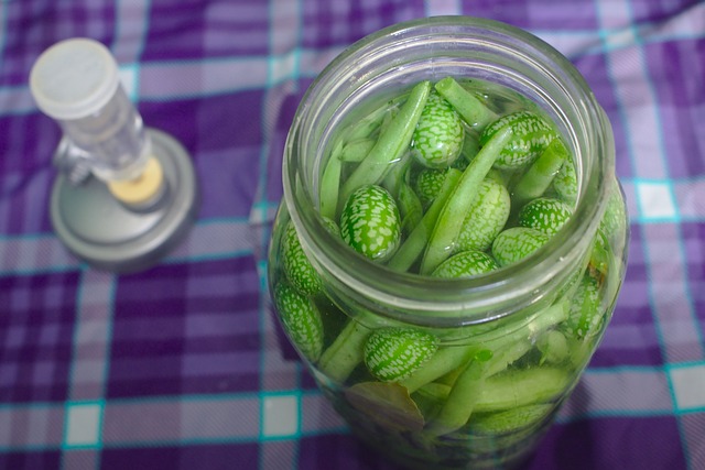 乳酸发酵 酸洗 自制泡菜 - 上的免费照片