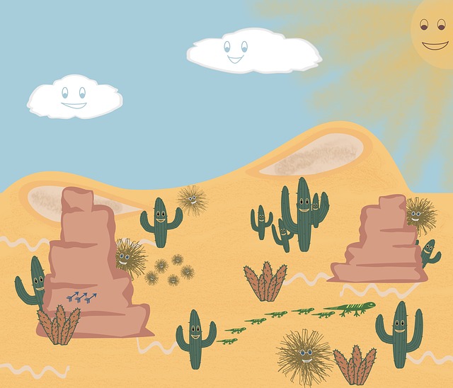 沙漠 快乐的 夏天 - 上的免费图片