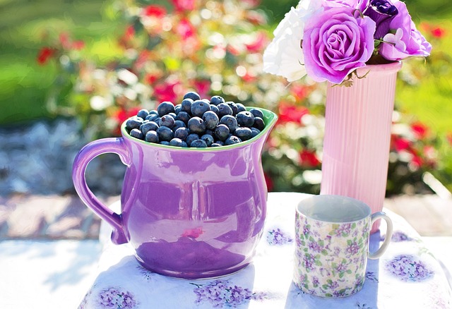 蓝莓 夏天 水果 - 上的免费照片