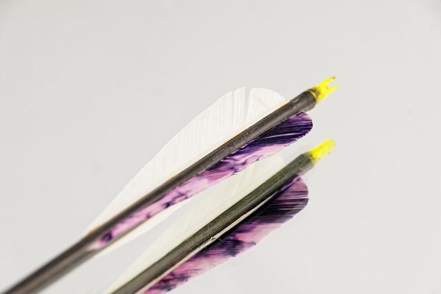 箭 春天 运动的 - 上的免费照片