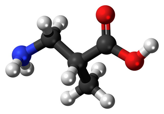 氨基异丁酸 分子 化学 - 上的免费图片