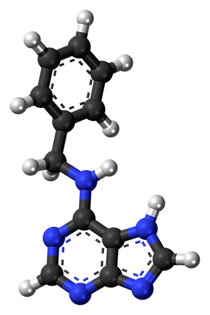 苄氨基嘌呤 激素 分子 - 上的免费图片