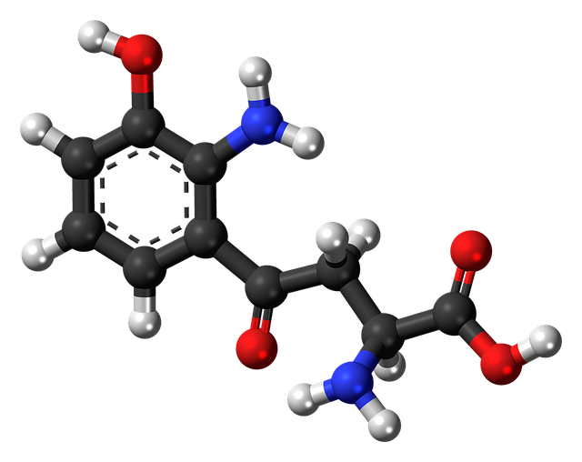 羟基犬尿氨酸 分子 化学 - 上的免费图片