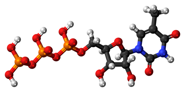三磷酸甲基尿苷 核苷酸 分子 - 上的免费图片
