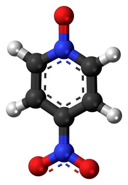 硝基吡啶 催化剂 化学 - 上的免费图片