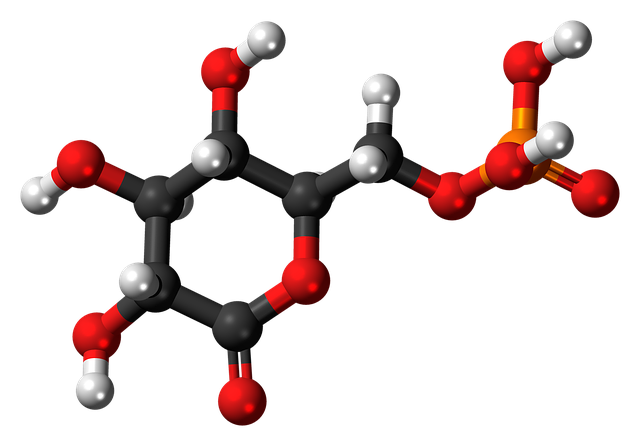 磷酸葡萄糖酸内酯 分子 模型 - 上的免费图片