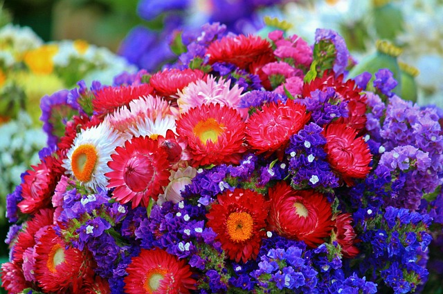 花 束鲜花 开花 - 上的免费照片