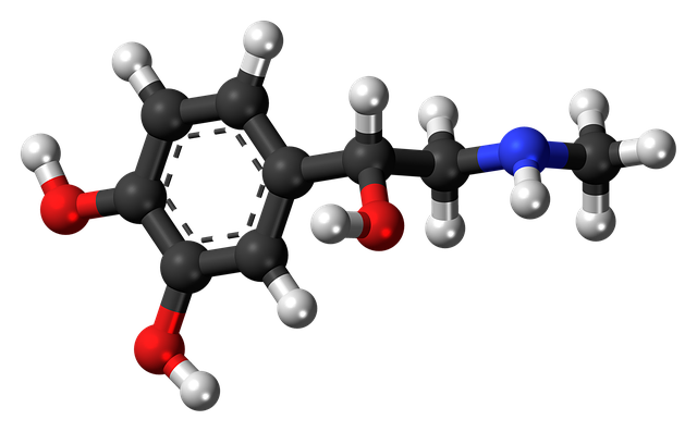 肾上腺素 激素 分子 - 上的免费图片