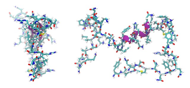肾上腺髓质素 肽 分子 - 上的免费图片