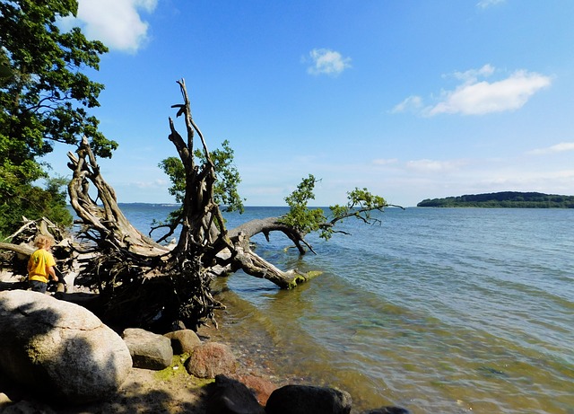 西波美拉尼亚 训斥 波罗的海 - 上的免费照片