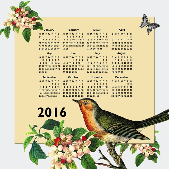 日历 2016 年 - 上的免费图片
