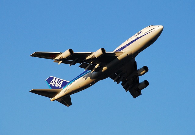 波音 747 安娜 全日空航空公司 - 上的免费照片