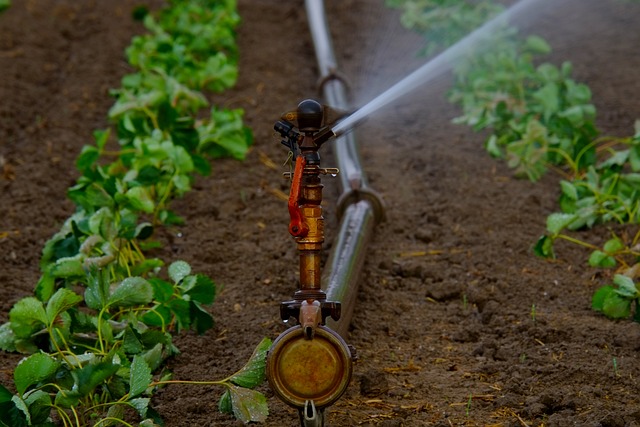喷水器 水射流 人为地 - 上的免费照片