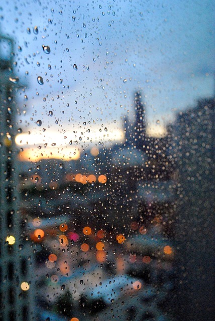 芝加哥 雨 威利斯塔 - 上的免费照片