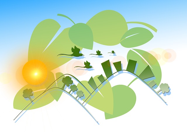 环境保护 自然保护区 生态 - 上的免费图片