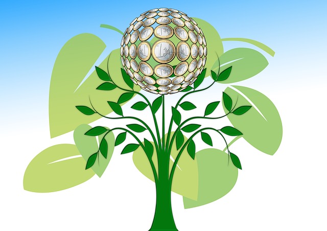 环境保护 自然保护区 生态 - 上的免费图片