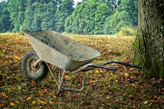 独轮车 工作 工艺 - 上的免费照片